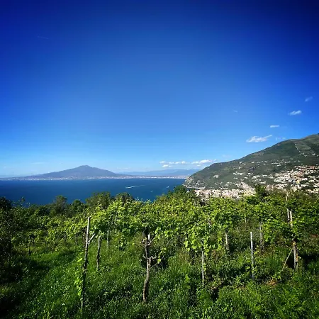 La Badia Montechiaro - Breathtaking View Of Sorrento Coast 펜션 *